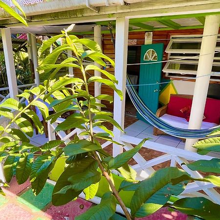 Le Petit Paradis Roseau Dış mekan fotoğraf