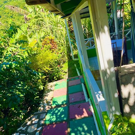 Le Petit Paradis Roseau Dış mekan fotoğraf