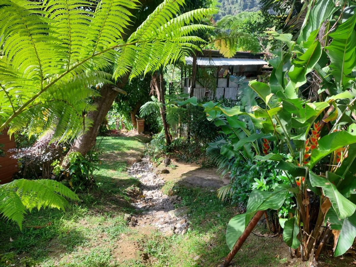 Le Petit Paradis Roseau Dış mekan fotoğraf