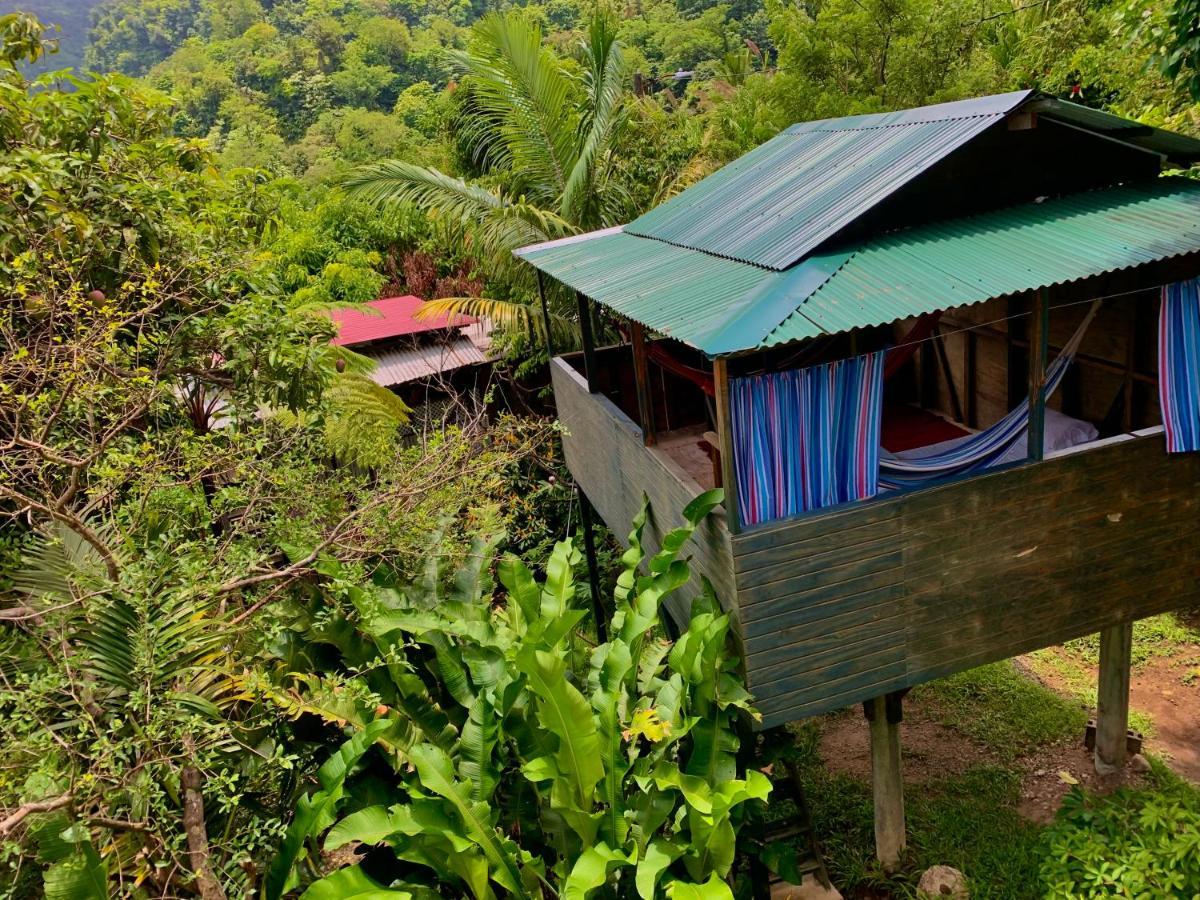 Le Petit Paradis Roseau Dış mekan fotoğraf