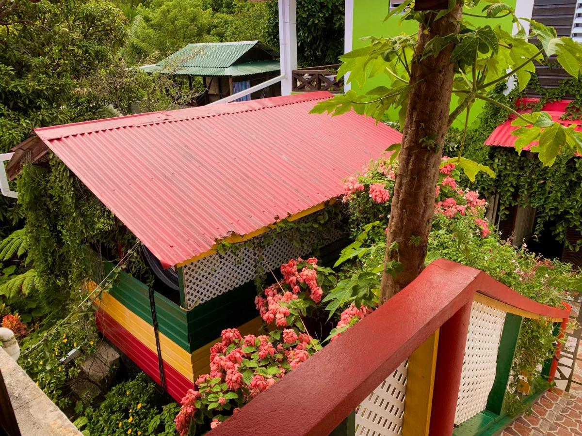 Le Petit Paradis Roseau Dış mekan fotoğraf