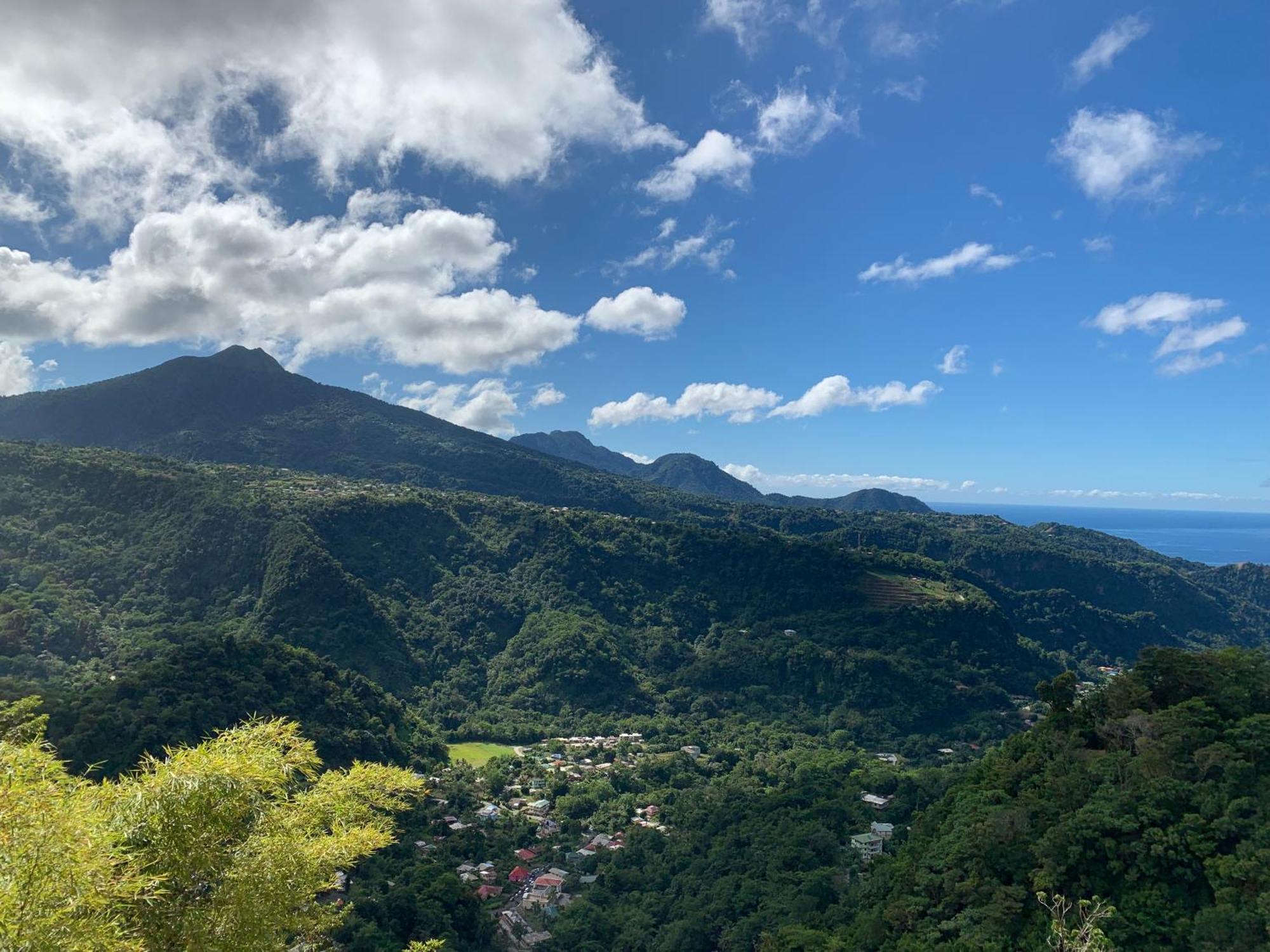 Le Petit Paradis Roseau Dış mekan fotoğraf