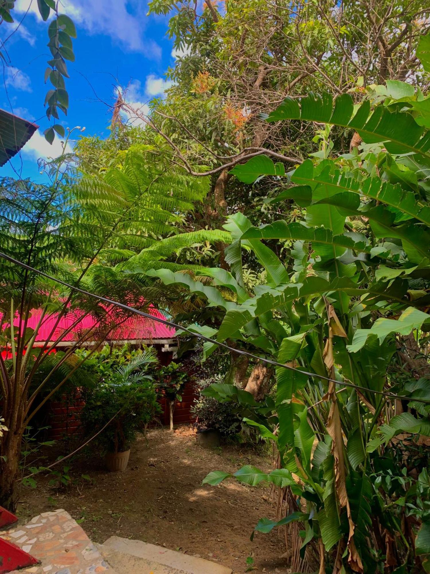 Le Petit Paradis Roseau Dış mekan fotoğraf