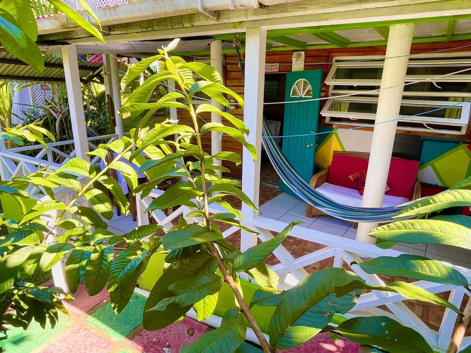 Le Petit Paradis Roseau Dış mekan fotoğraf