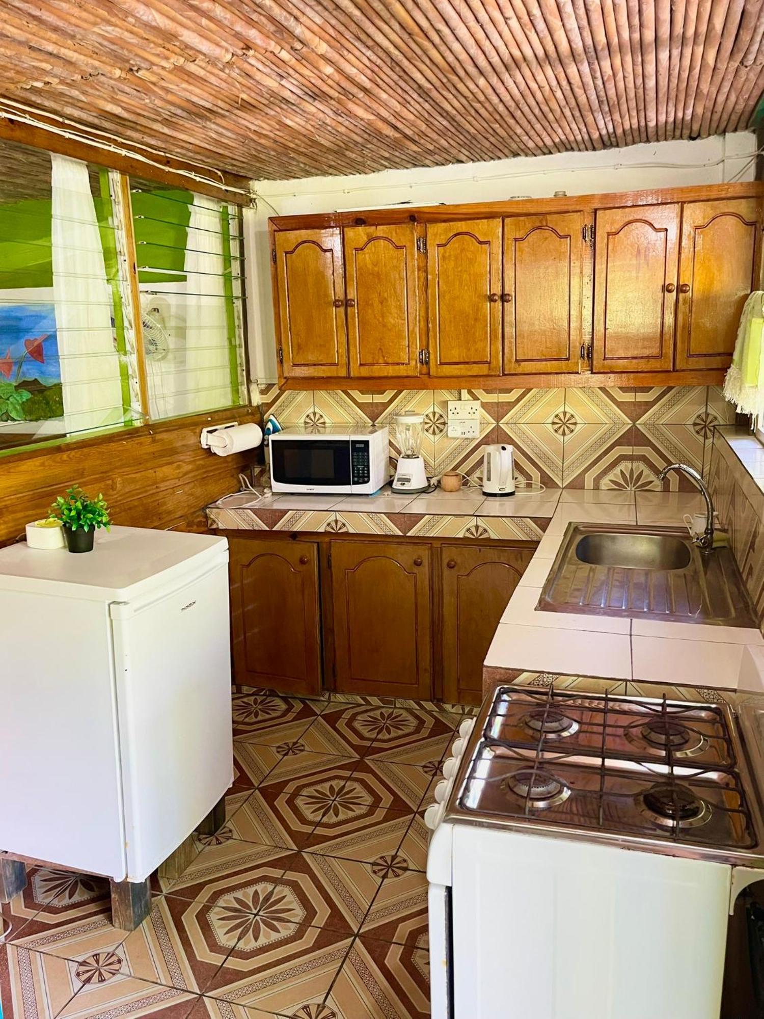 Le Petit Paradis Roseau Dış mekan fotoğraf