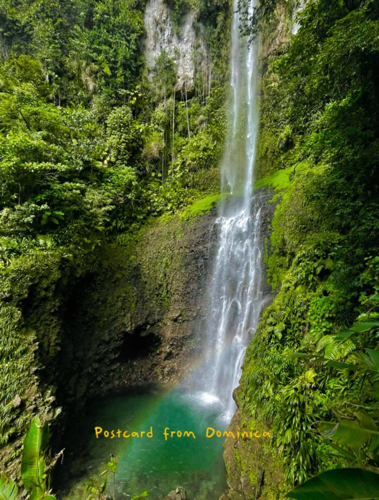 Le Petit Paradis Roseau Dış mekan fotoğraf